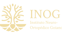 Logo Inog
